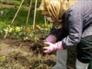専用の畑です